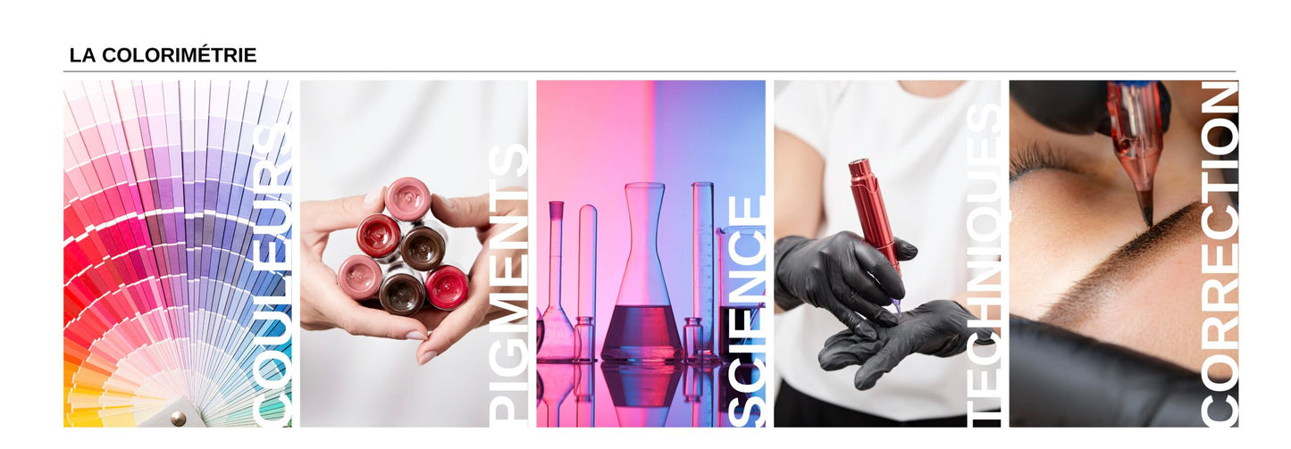 Formation en ligne – Colorimétrie (Maquillage Permanent ou Microblading) (TROUSSE DE DÉPART INCLUSE et livrée lors de l'inscription, d'une valeur de 275$tx)