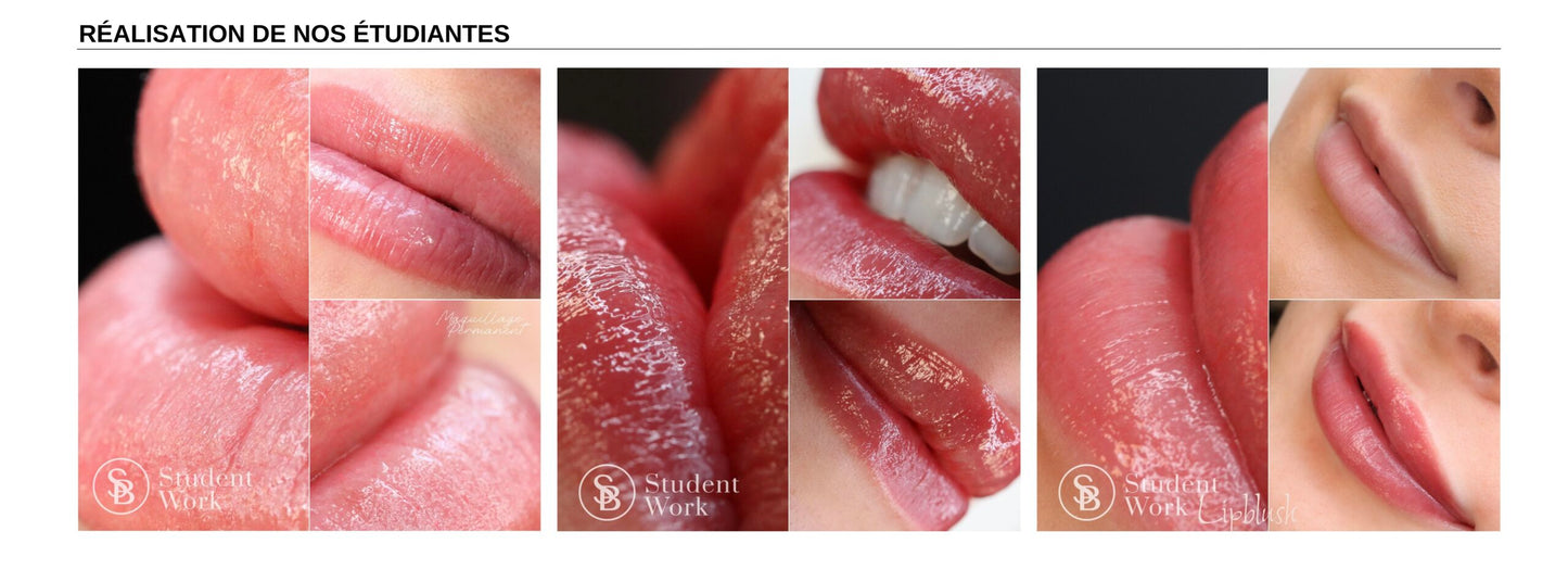 Formation Lipblush en Ligne (TROUSSE et APPAREIL INCLUS et livré lors de l'inscription)